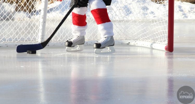 В учебно-тренировочном центре Новогорск прошел детский турнир по хоккею
