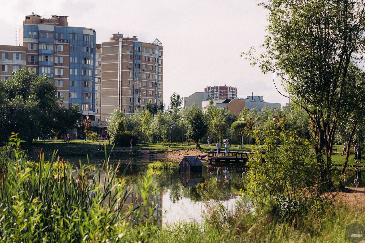 Летняя программа в парке 