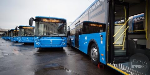 автобусы в химках