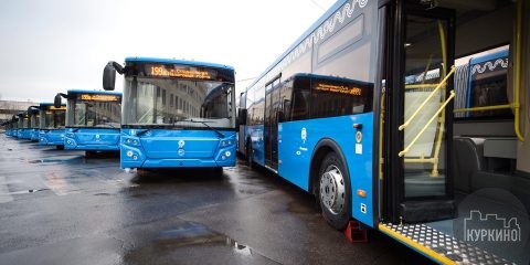 автобусы в химках