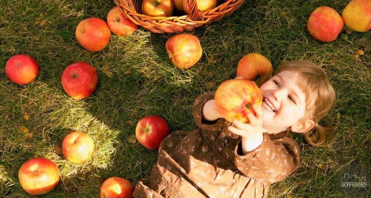Мероприятия, посвященные празднику "Яблочный Спас" пройдут в СЗАО