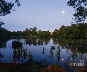 Ручьи и пруды района Куркино