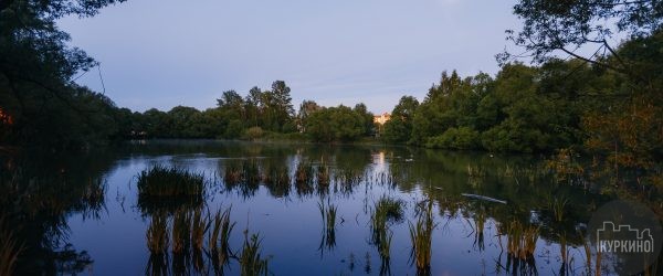 Ручьи и пруды района Куркино