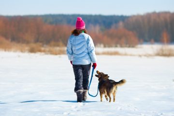 Как лучше всего выгуливать собаку зимой?
