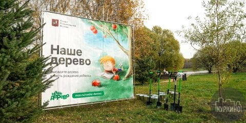 Посадите именное дерево в Москве